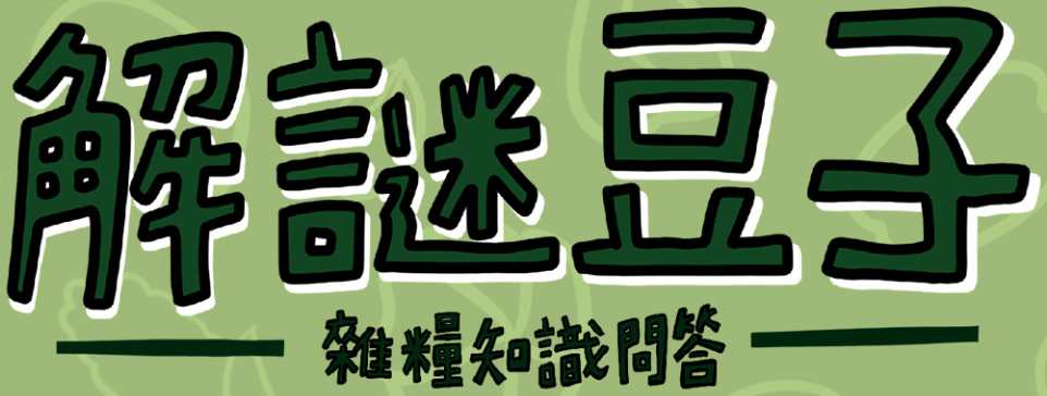解謎豆子
